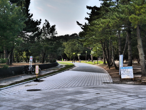 a0315918_20264268.jpg