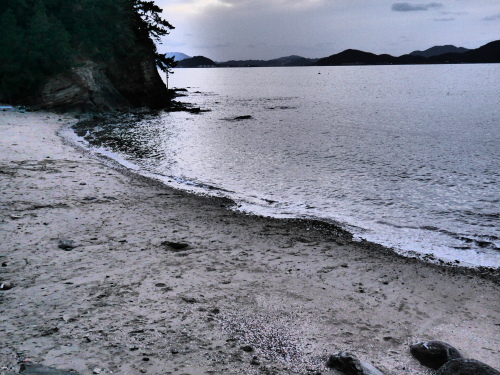 a0315918_20275707.jpg
