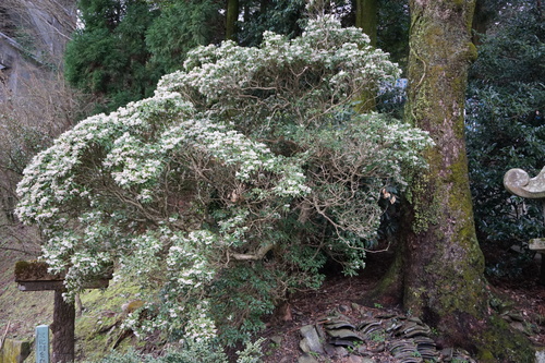 a0238019_22395949.jpg