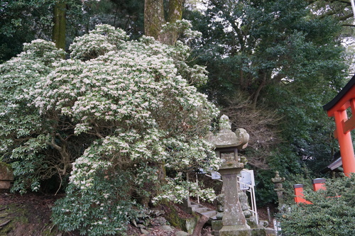 a0238019_22583867.jpg