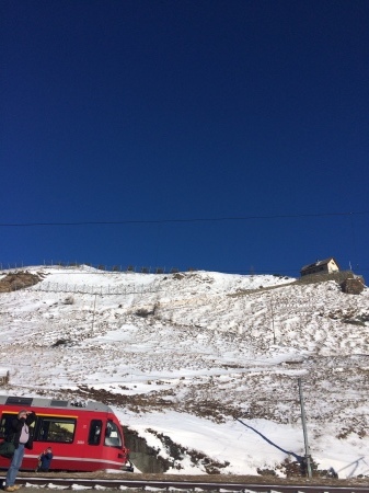 d0031624_11030526.jpeg