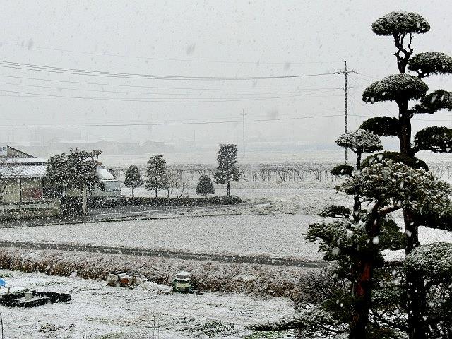 e0234924_05581628.jpg