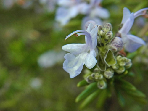 f0206939_20142680.jpg