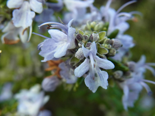 f0206939_20151142.jpg