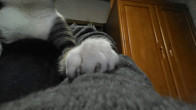 c0194042_1828673.gif