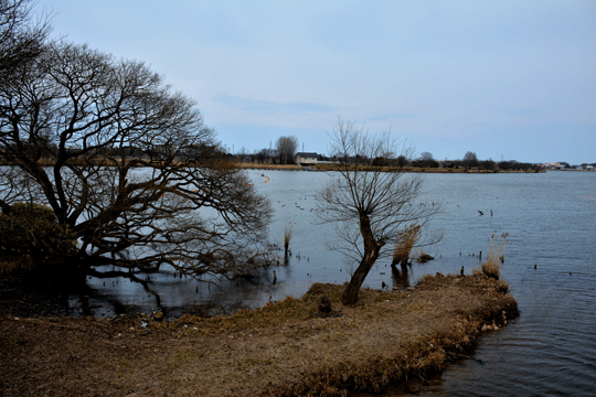 c0093046_17261875.gif