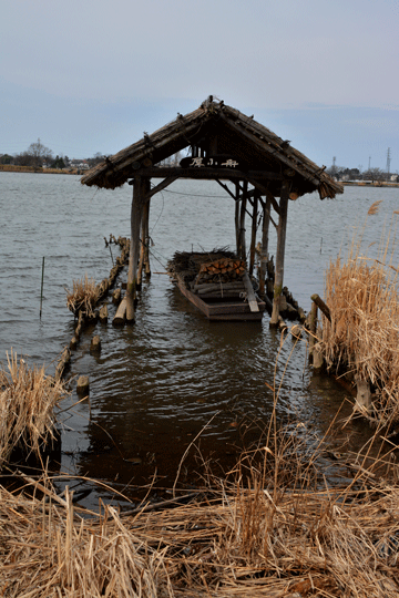 c0093046_172647.gif