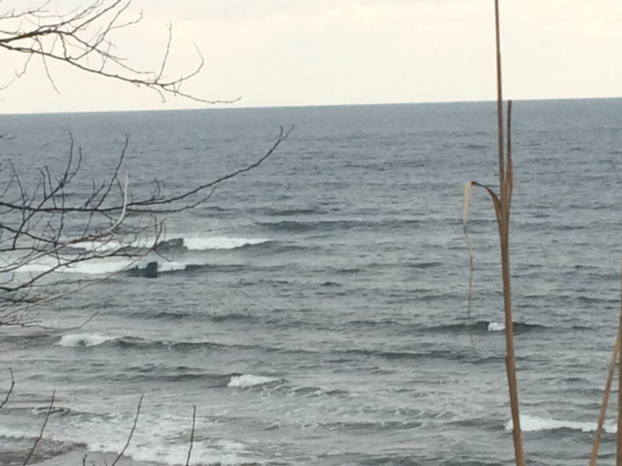 c0254151_16265390.jpg