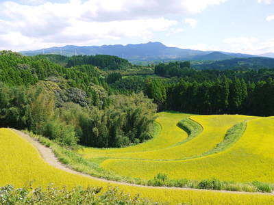 a0254656_18335090.jpg