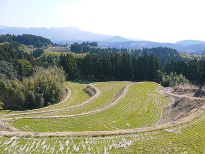 a0254656_1961492.jpg