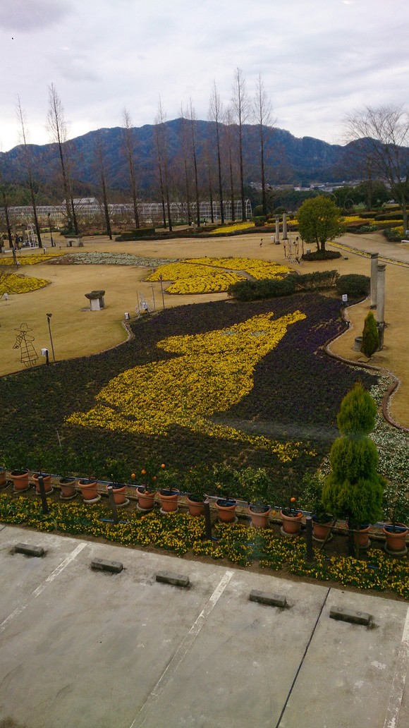 タオル美術館 再び 1/30_d0000459_10364745.jpg