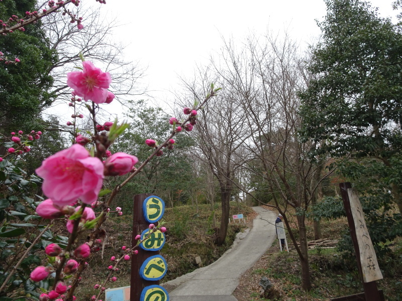 c0108460_22283948.jpg