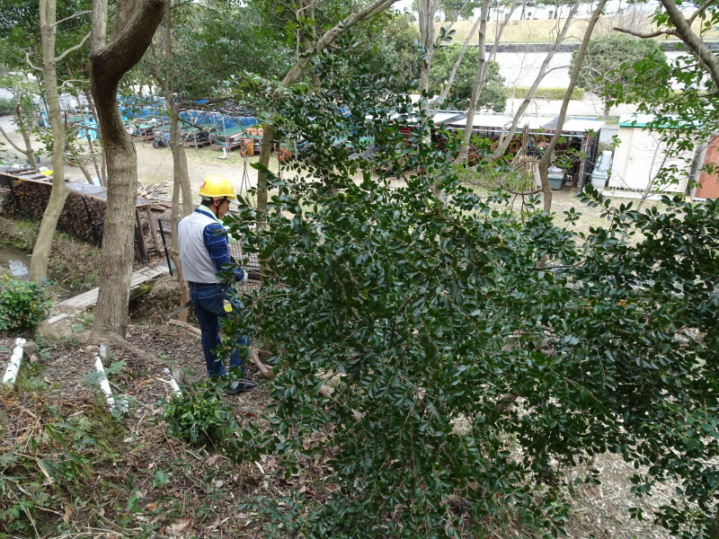 c0108460_22365807.jpg