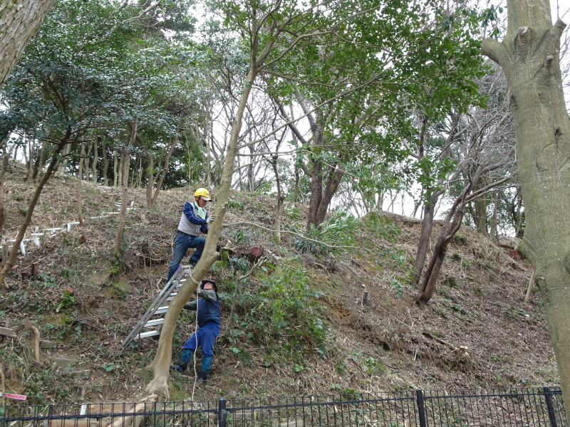 c0108460_22370857.jpg