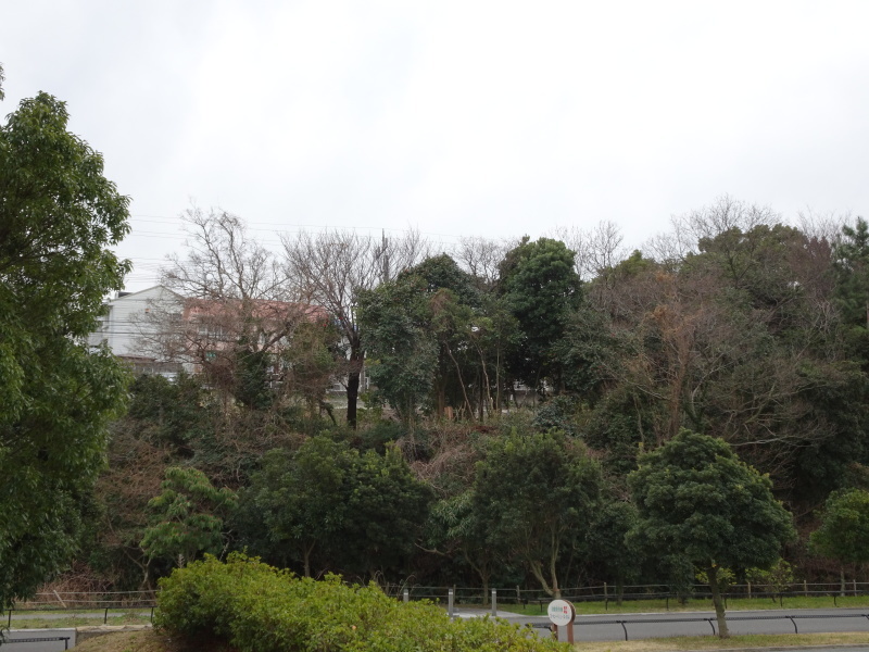 c0108460_22384826.jpg