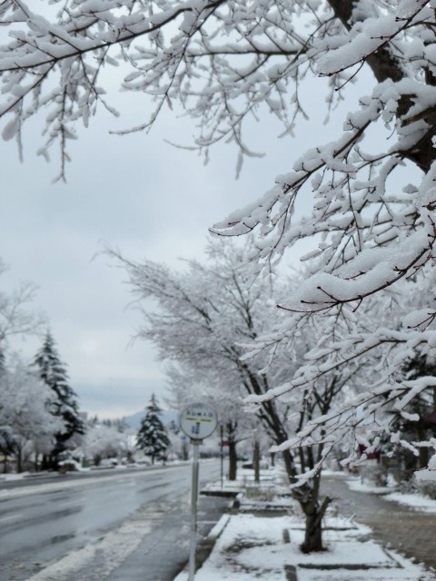 f0236260_1820489.jpg