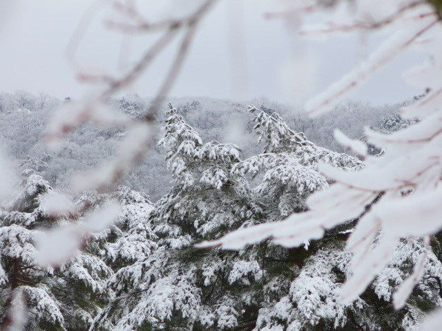 f0236260_18511549.jpg