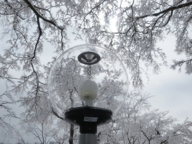 f0236260_18513583.jpg