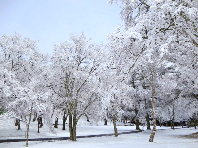 f0236260_18525060.jpg