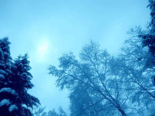 f0236260_1855130.jpg