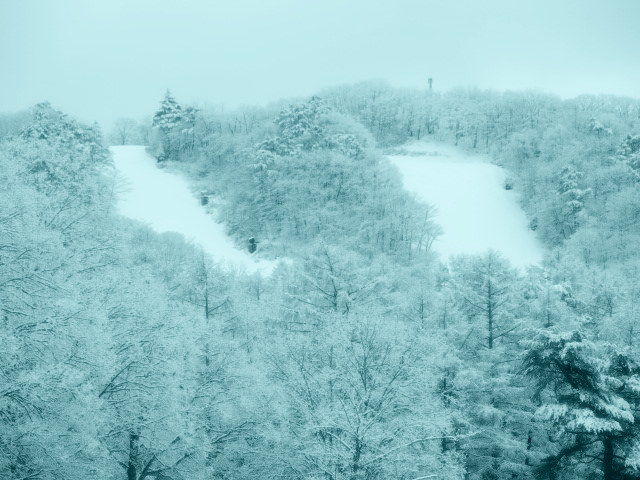 f0236260_18553458.jpg