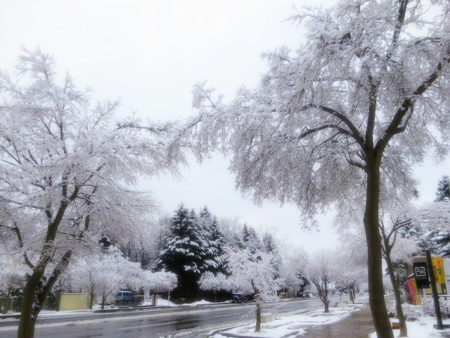 f0236260_18555870.jpg