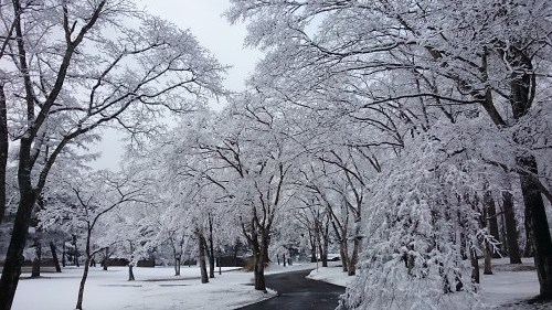 f0236260_19033350.jpg