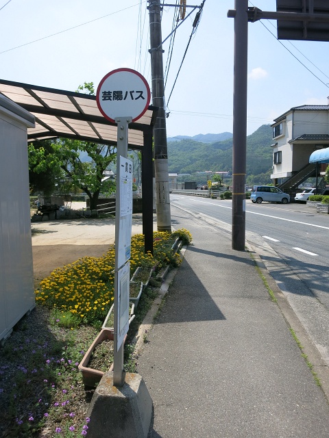 b0095061_10404684.jpg