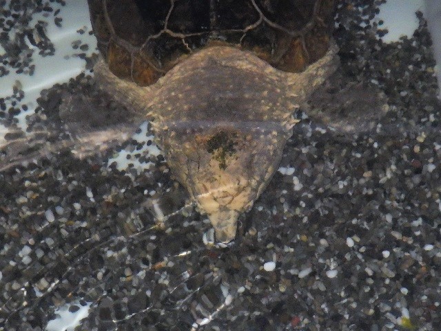 c0105569_0354193.jpg