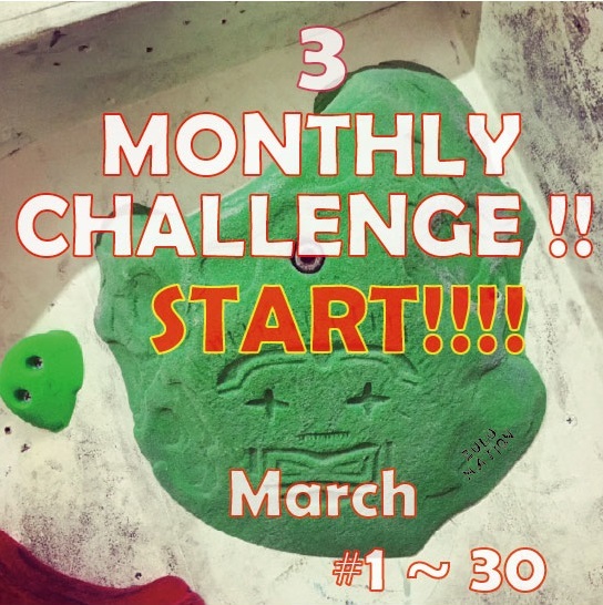MONTHLY CHALLENGE 3月_d0246875_22170854.jpg