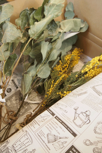 春_a0235880_22401597.gif