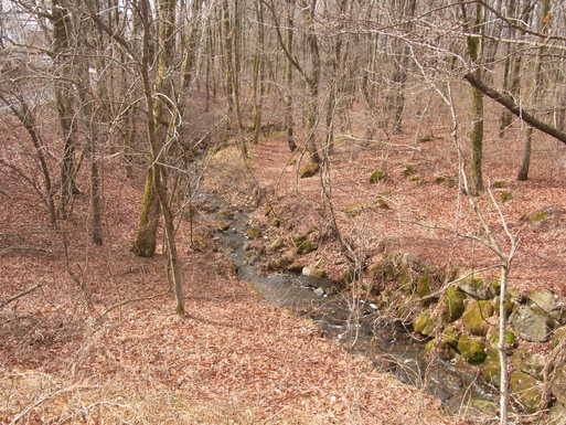 e0008887_152524.jpg