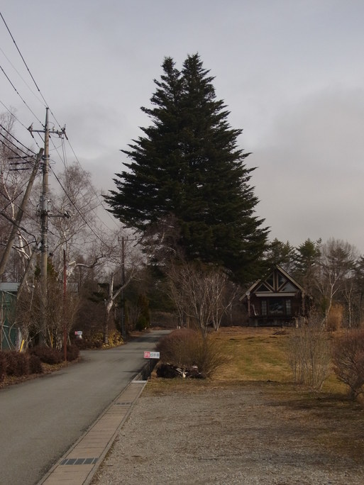 e0008887_1553981.jpg