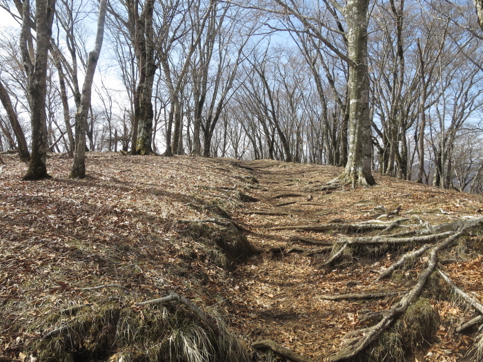 b0339488_20282697.jpg
