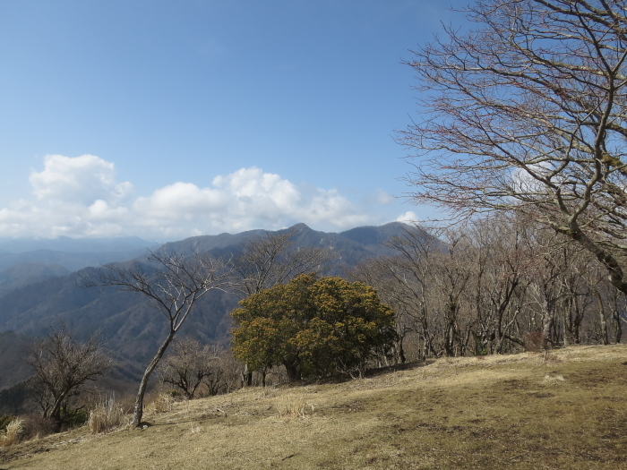 b0339488_20282748.jpg
