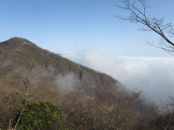 b0339488_20290609.jpg