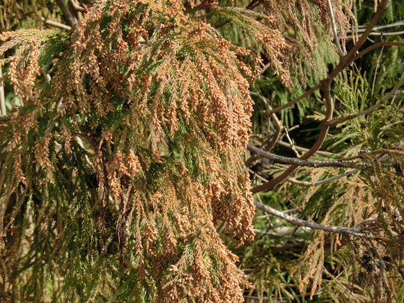 a0186689_12394723.jpg