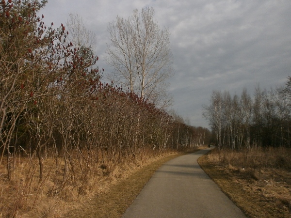 d0000995_11583695.jpg