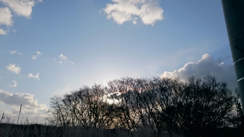 d0149105_731437.jpg