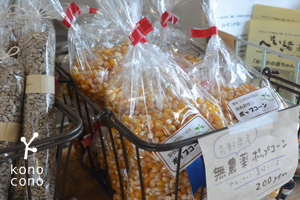 明日は流鉄100年祭に出店します♪_f0321908_17324576.jpg