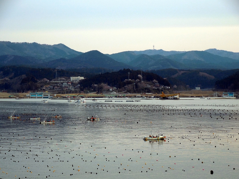 五年_d0116009_14171592.jpg