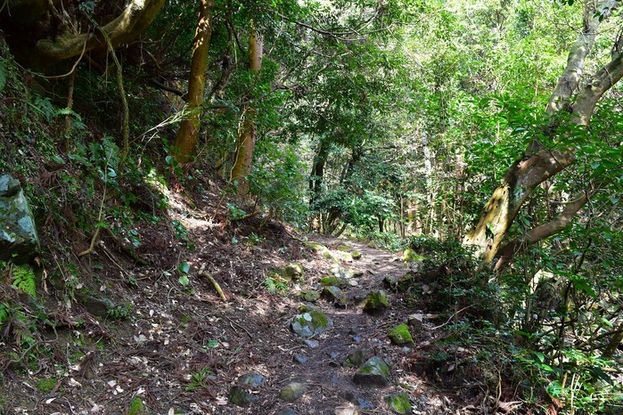 f0174419_11471569.jpg