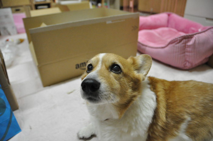 2011年3月25日の小名浜_d0102523_13323924.jpg