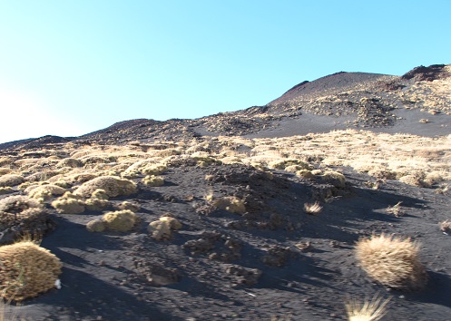 d0167041_8383813.jpg