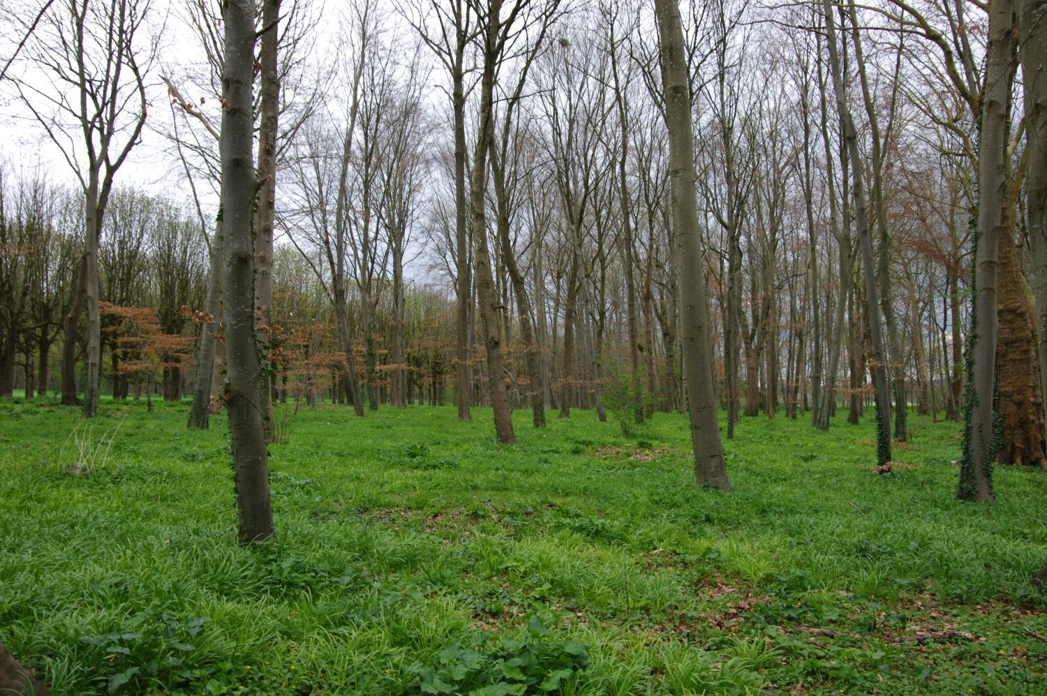 【世界遺産】　フォンテーヌブローの宮殿と庭園_b0212342_21074331.jpg