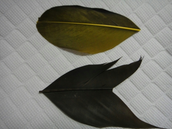 a0201743_07230555.jpg