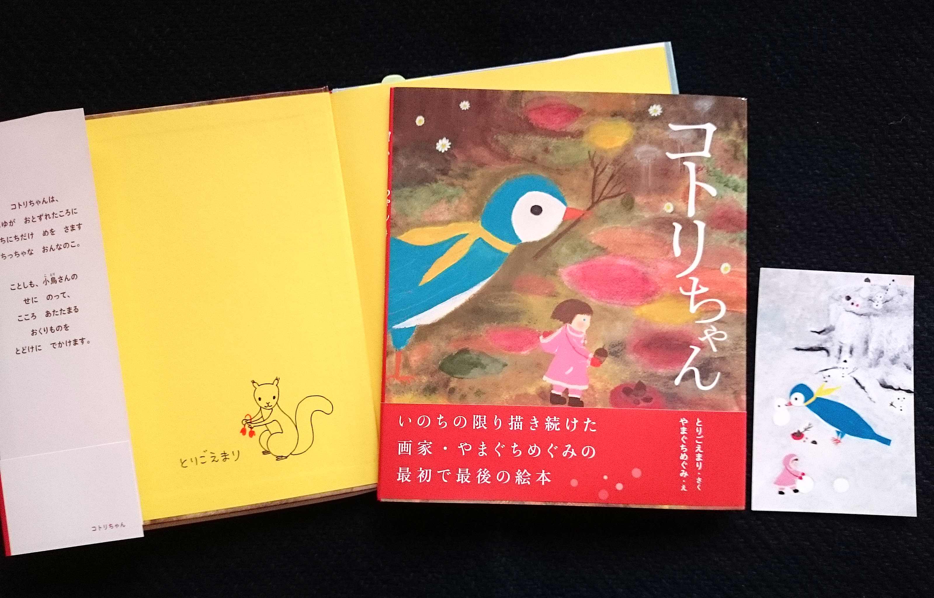 絵本のご紹介、『くうきにんげん』『コトリちゃん』_a0265743_1152651.jpg