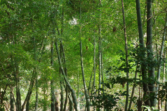 d0185744_1873737.jpg
