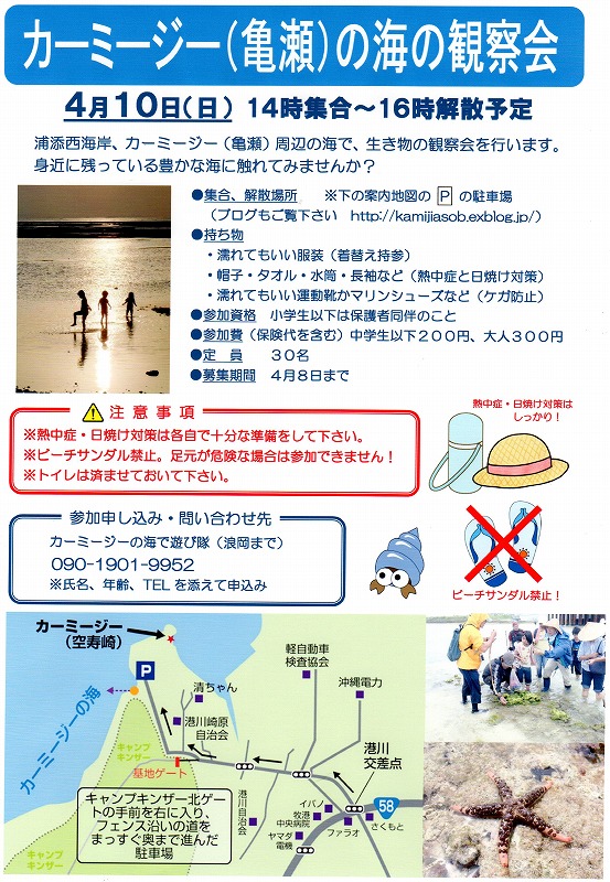 観察会の中止と準備_c0180460_1094079.jpg