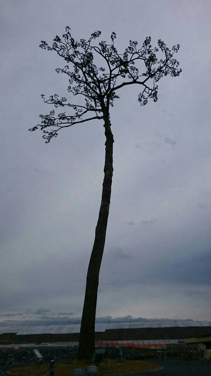 c0059563_09335742.jpg